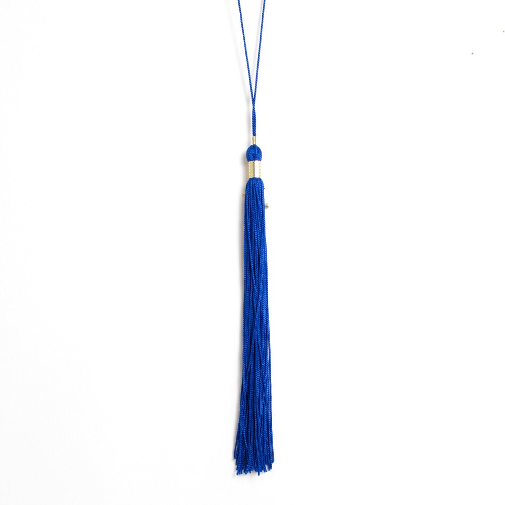 Ducks Spirit, Josten's, Bachelor & Masters, Grad, Student, Tassel, 154599, Royal Blue